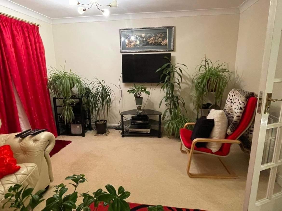 Cozy Home Croydon Zewnętrze zdjęcie